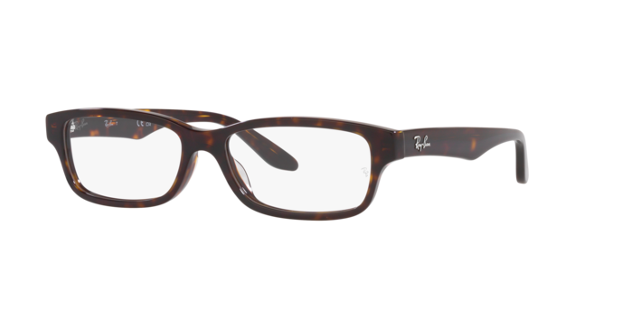 Ray-Ban Eyeglasses RX5415D 2012