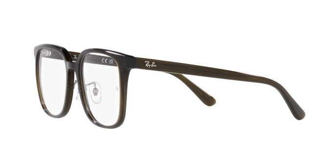 Ray-Ban Eyeglasses RX5419D 8218