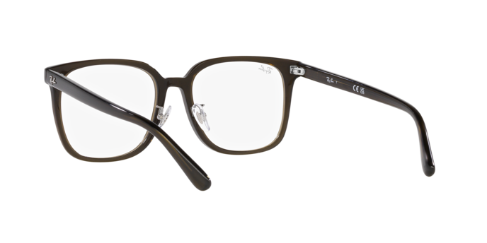 Ray-Ban Eyeglasses RX5419D 8218