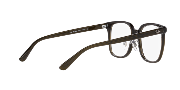 Ray-Ban Eyeglasses RX5419D 8218