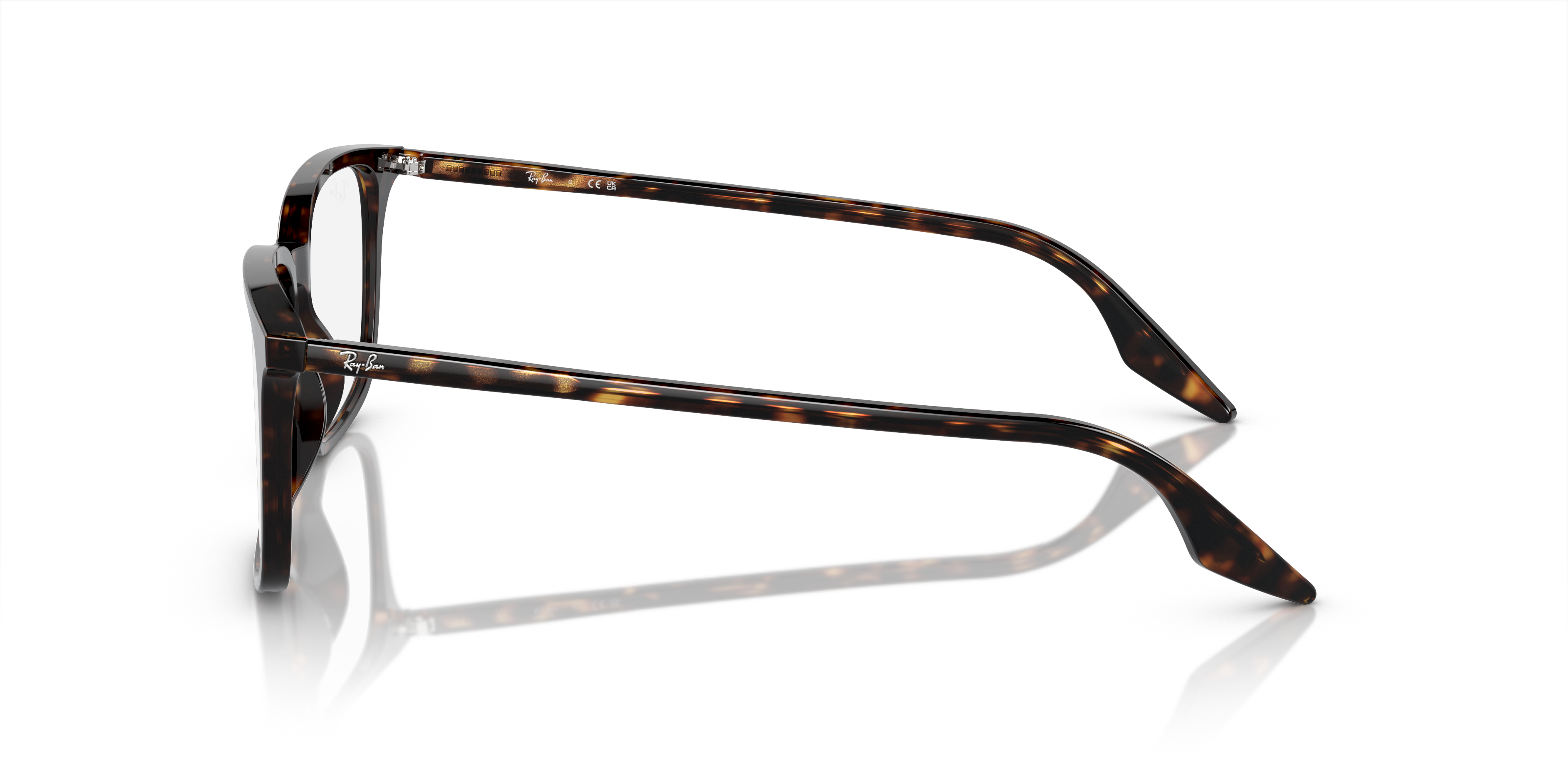 Ray-Ban Eyeglasses RX5421 2012