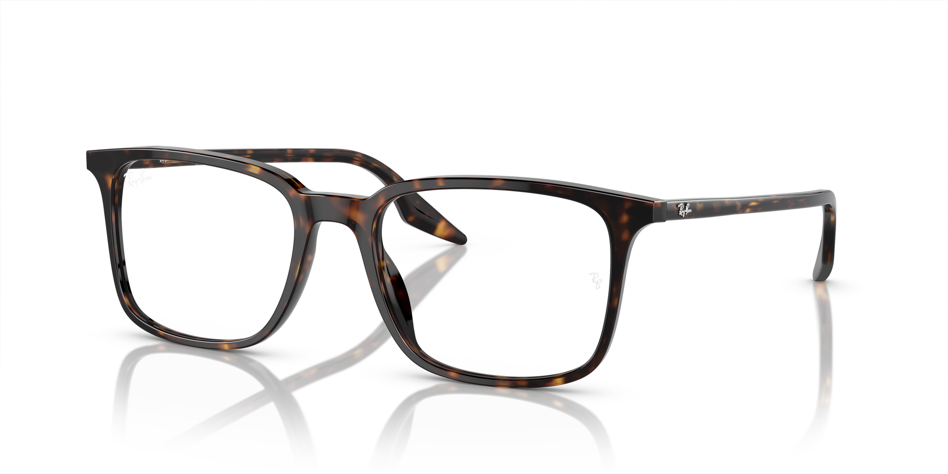 Ray-Ban Eyeglasses RX5421 2012