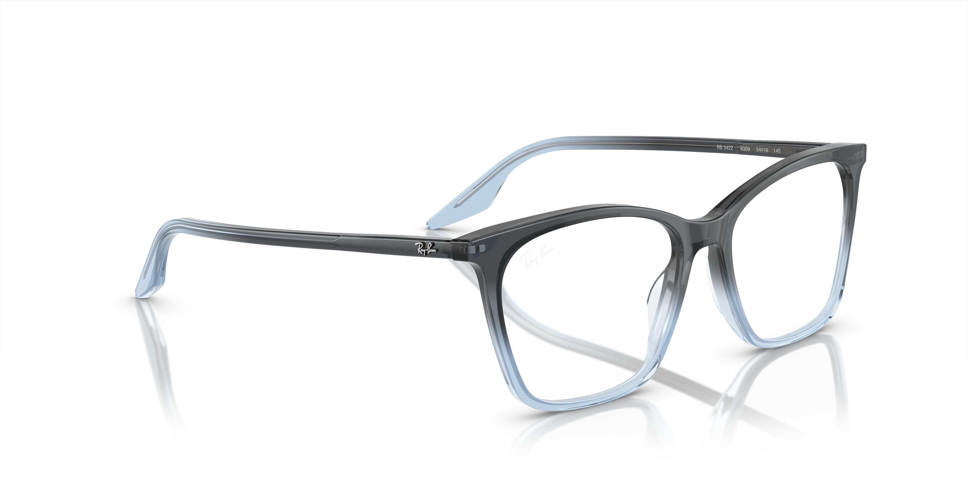 Ray-Ban Eyeglasses RX5422 8309