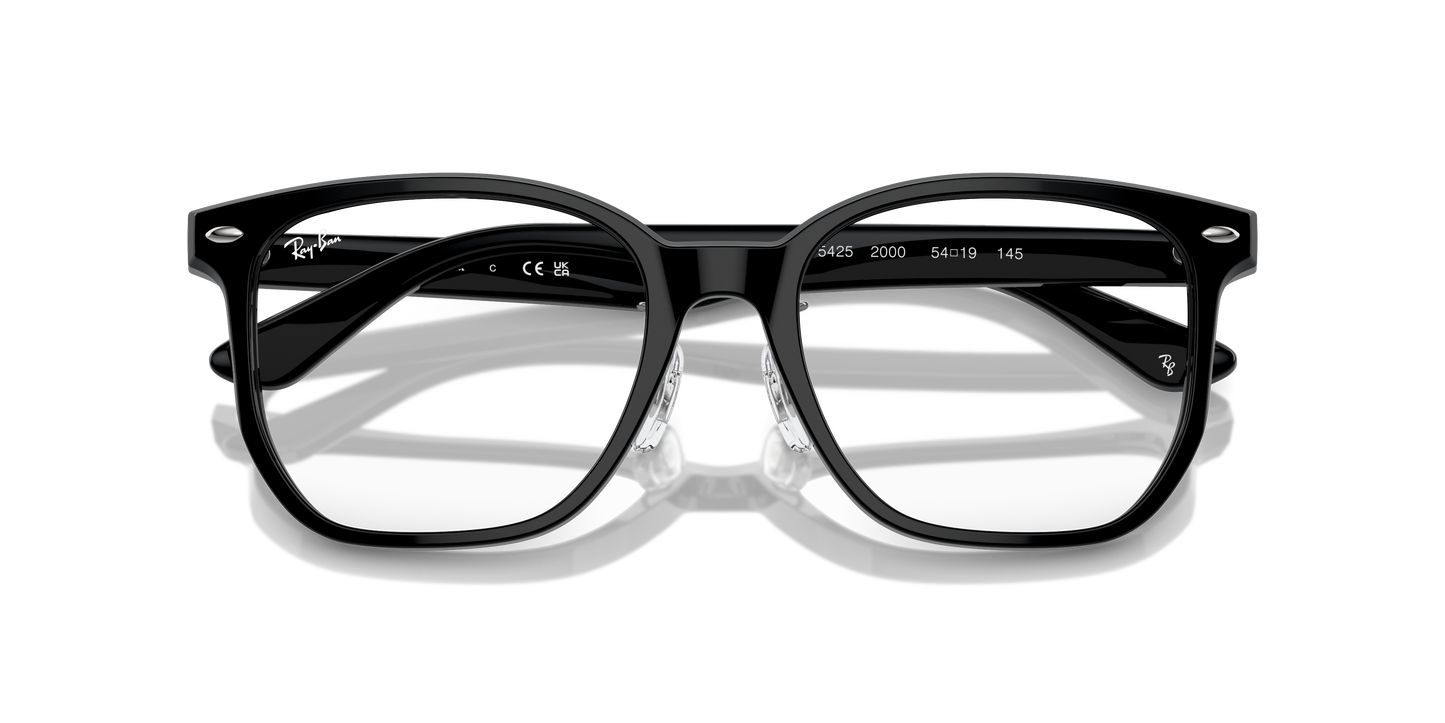 Ray-Ban Eyeglasses RX5425D 2000
