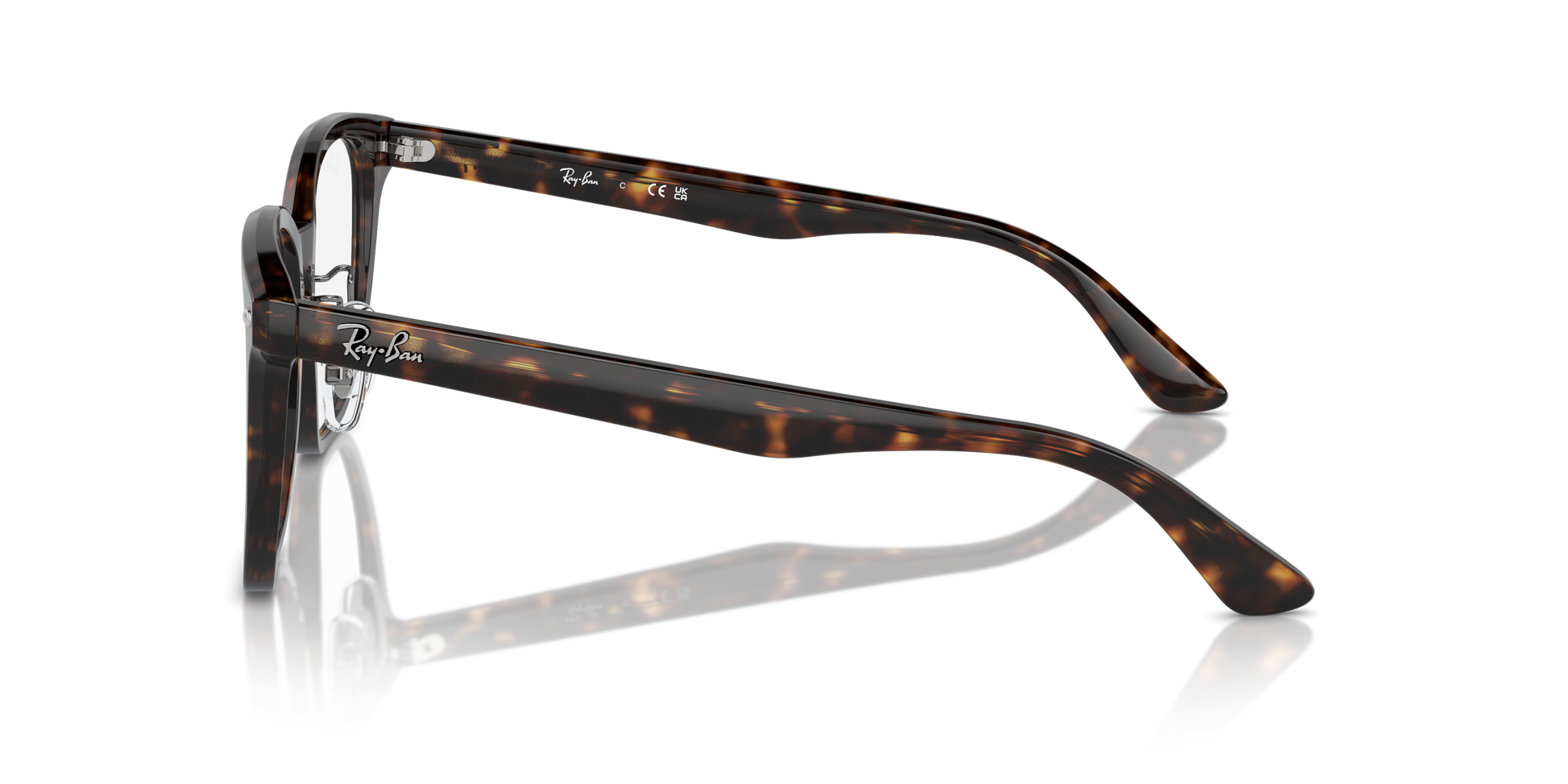 Ray-Ban Eyeglasses RX5425D 2012