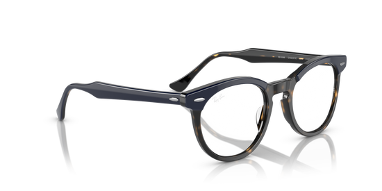 Ray-Ban Eagleeye Eyeglasses RX5598 8378