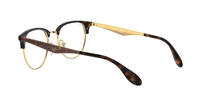 Ray-Ban Eyeglasses RX6396 2933