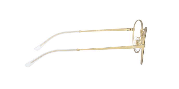 Ray-Ban Eyeglasses RX6439 3051