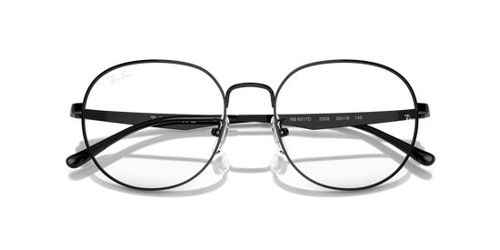 Ray-Ban Eyeglasses RX6517D 2509