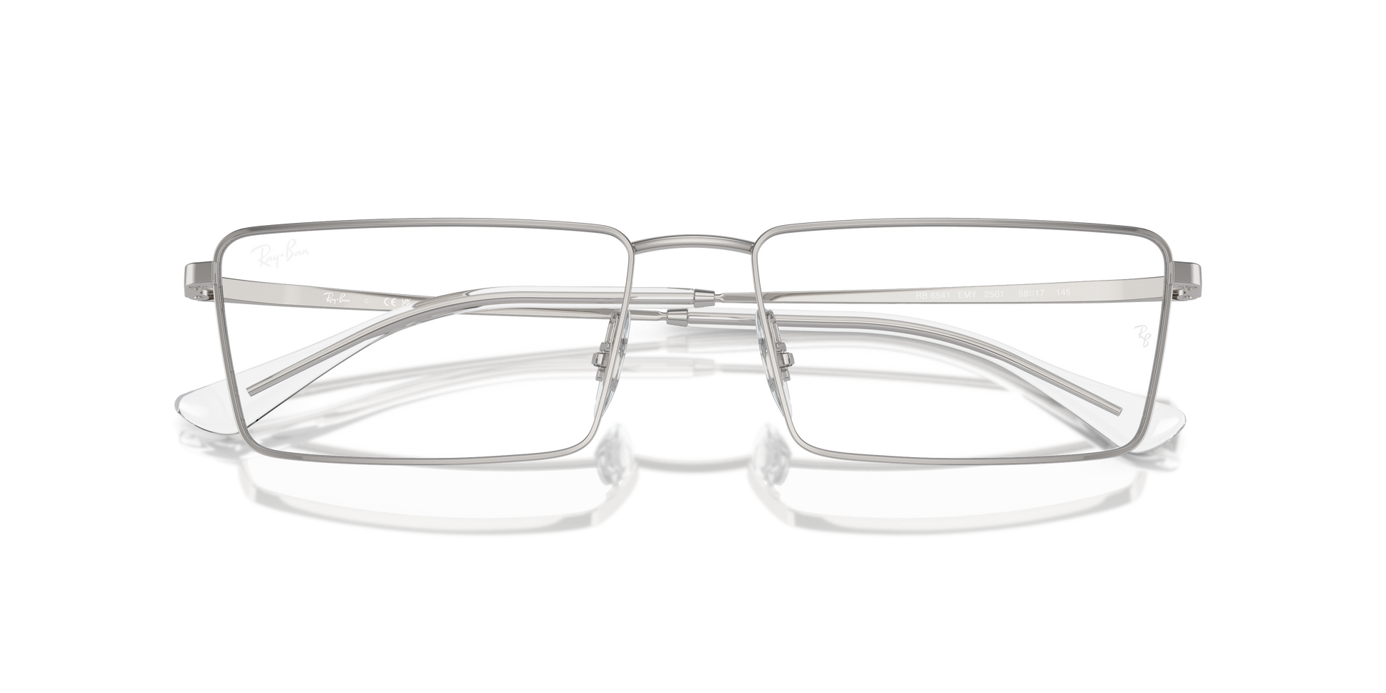 Ray-Ban Emy Eyeglasses RX6541 2501