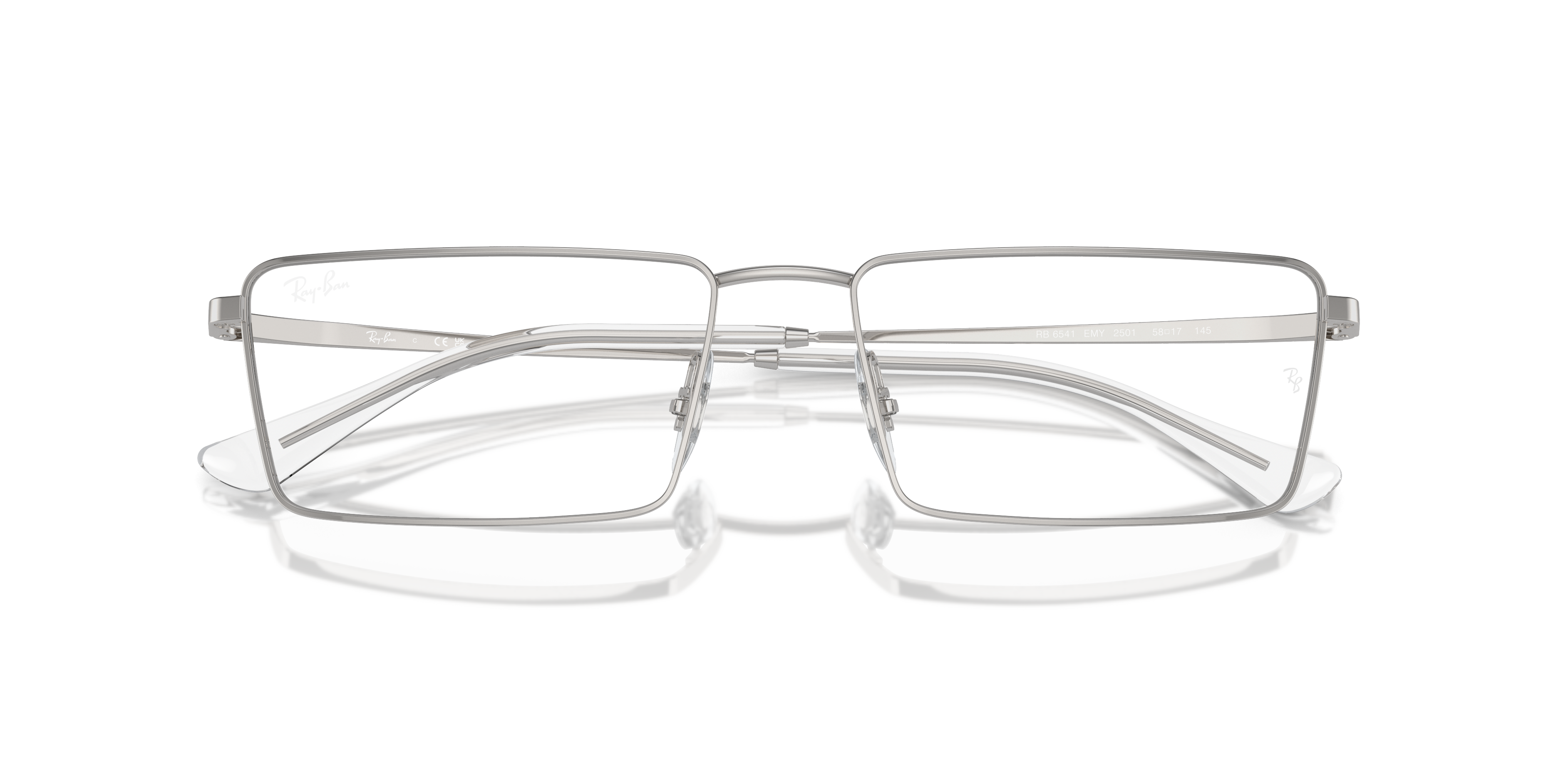 Ray-Ban Emy Eyeglasses RX6541 2501