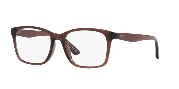 Ray-Ban Eyeglasses RX7059D 8273