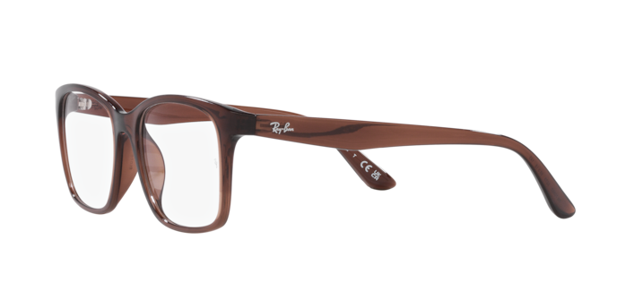 Ray-Ban Eyeglasses RX7059D 8273