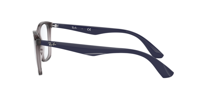 Ray-Ban Eyeglasses RX7066 5848