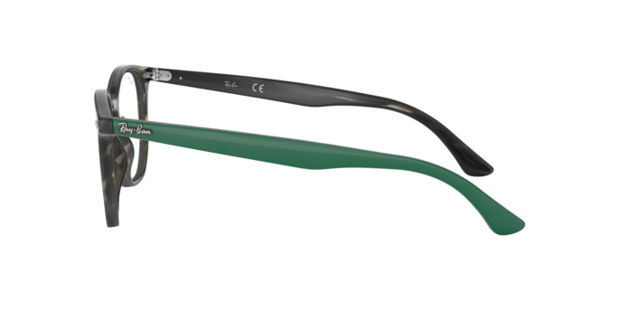 Ray-Ban Hexagonal Eyeglasses RX7151 5800