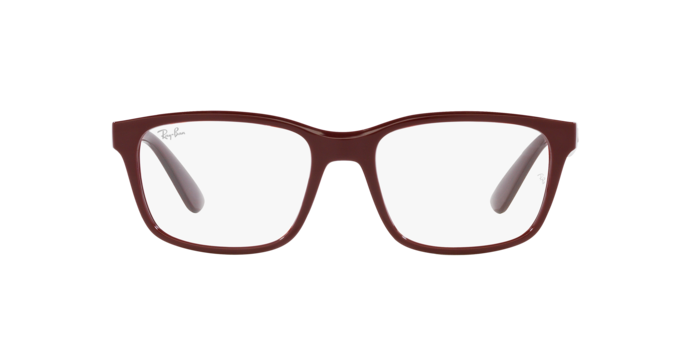 Ray-Ban Eyeglasses RX7221M F685