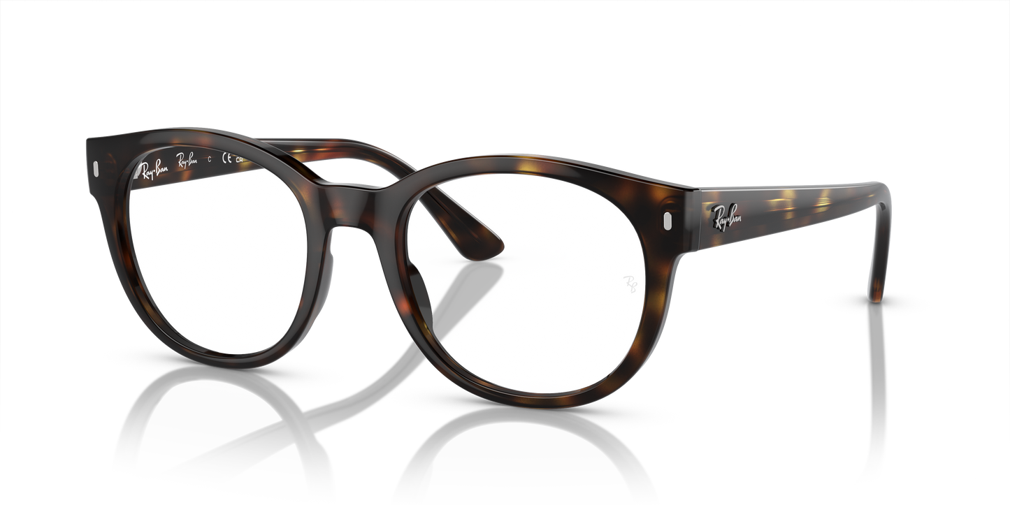 Ray-Ban Eyeglasses RX7227 2012