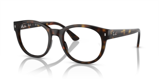 Ray-Ban Eyeglasses RX7227 2012