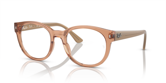 Ray-Ban Eyeglasses RX7227 8313