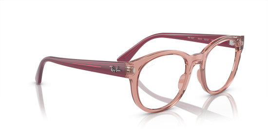 Ray-Ban Eyeglasses RX7227 8314