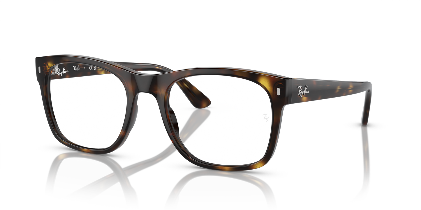 Ray-Ban Eyeglasses RX7228 2012