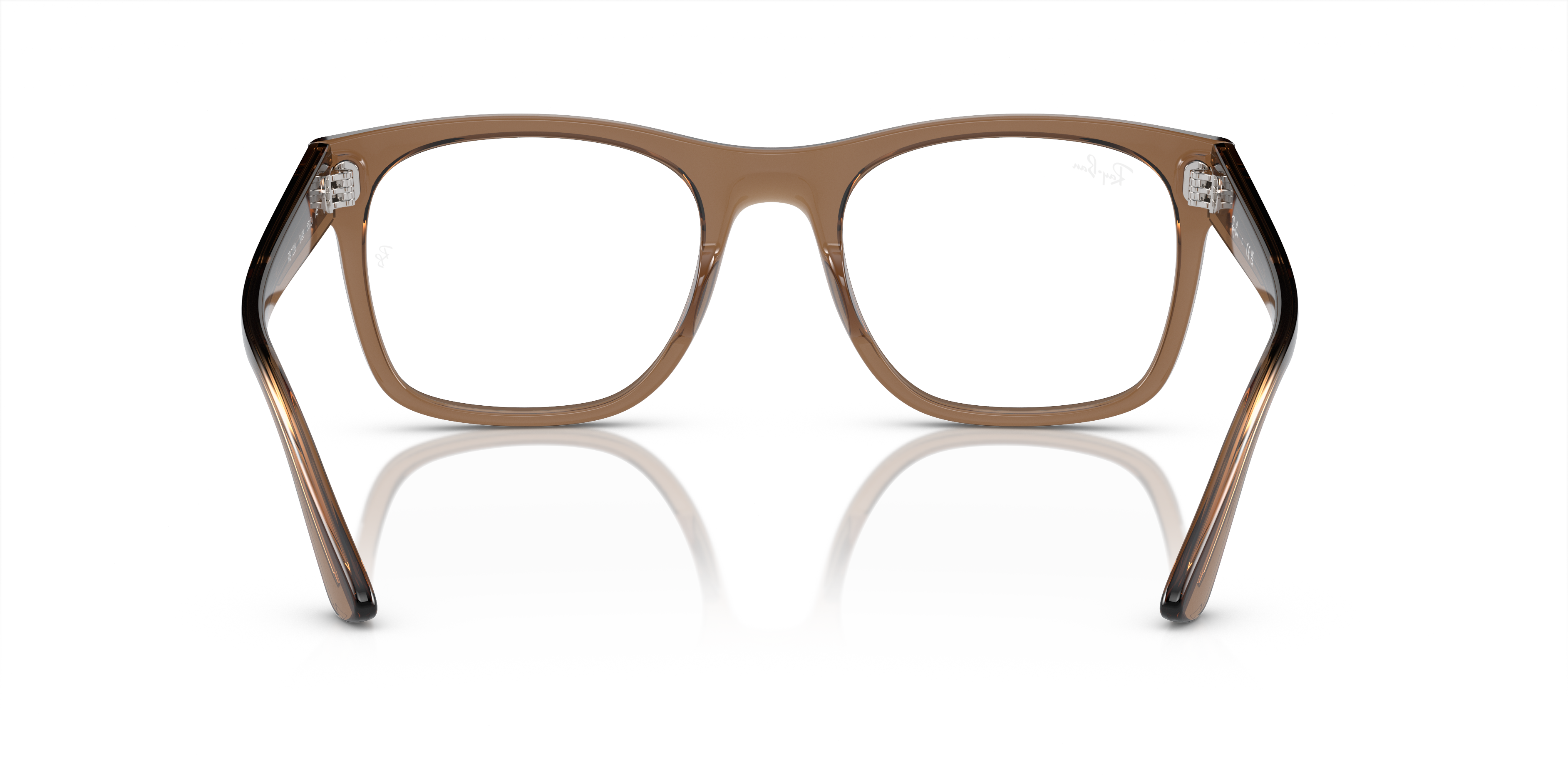 Ray-Ban Eyeglasses RX7228 8198