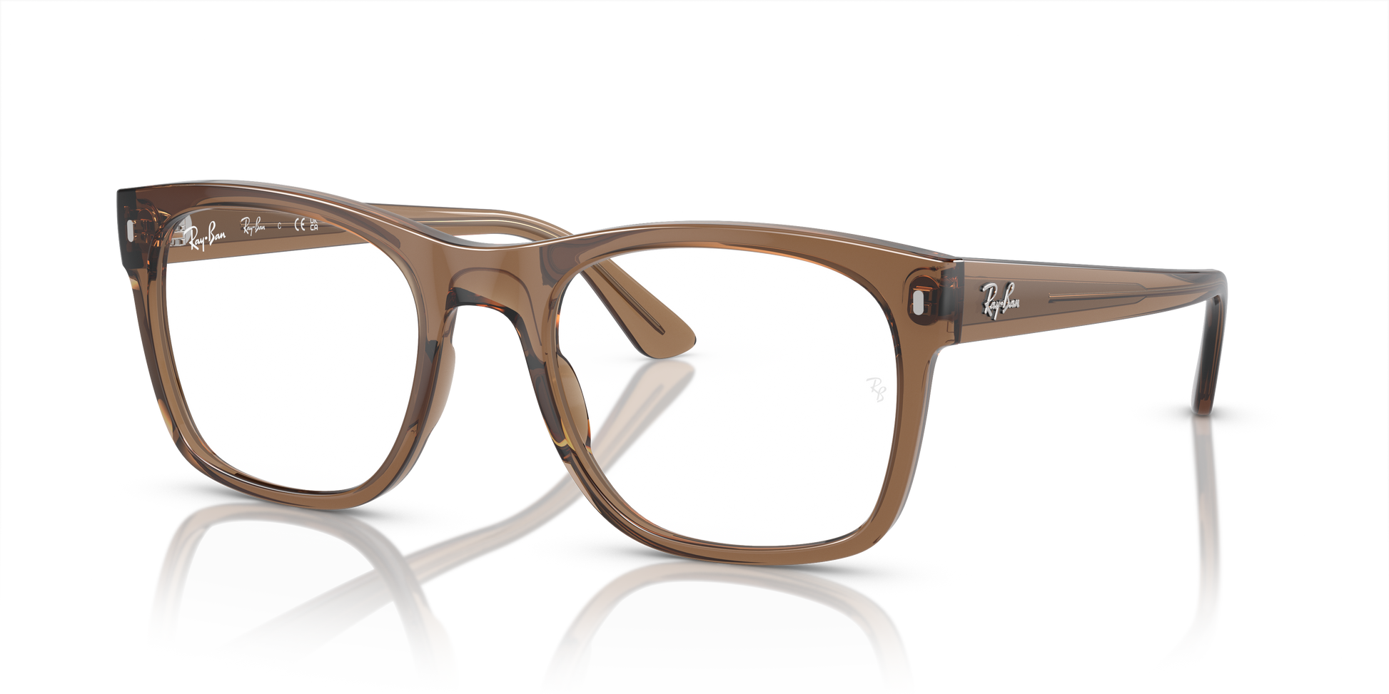 Ray-Ban Eyeglasses RX7228 8198