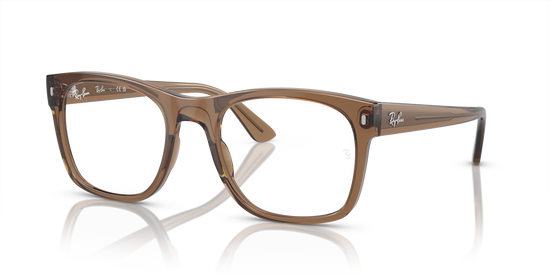 Ray-Ban Eyeglasses RX7228 8198