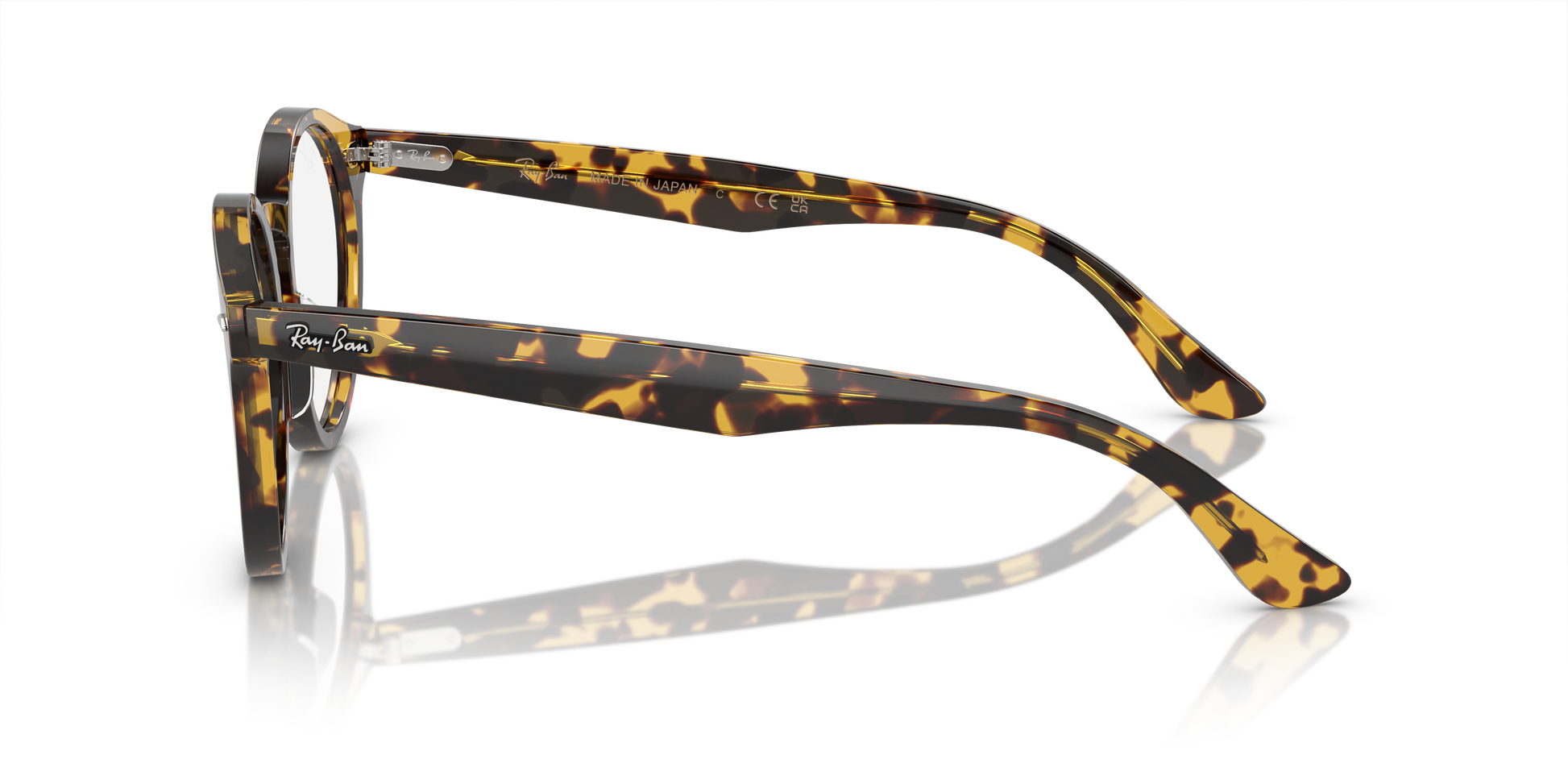 Ray-Ban Larry Eyeglasses RX7680V 8116