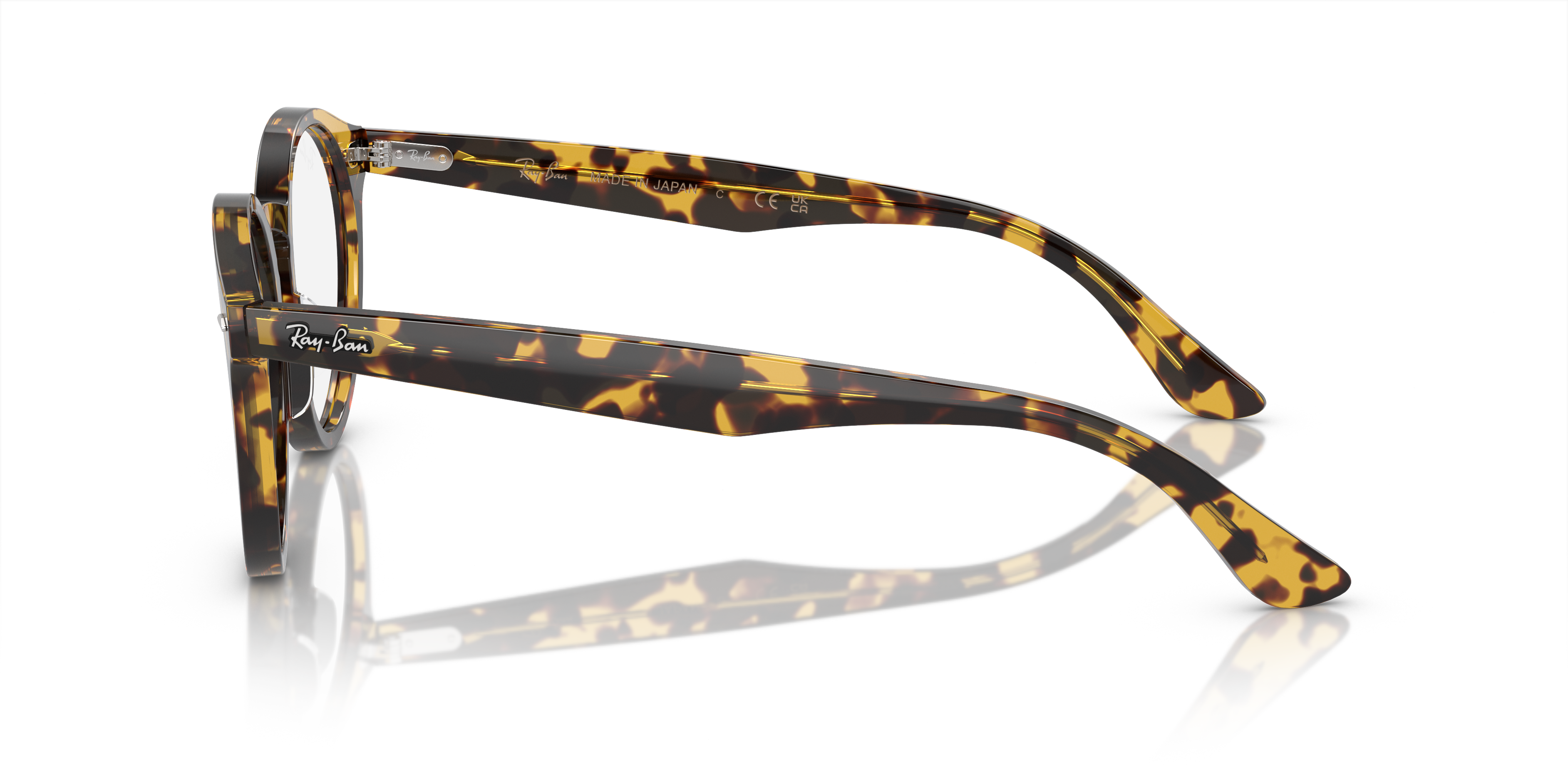 Ray-Ban Larry Eyeglasses RX7680V 8116