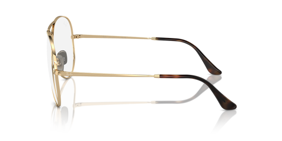 Ray-Ban Aviator Titanium Eyeglasses RX8789 1247