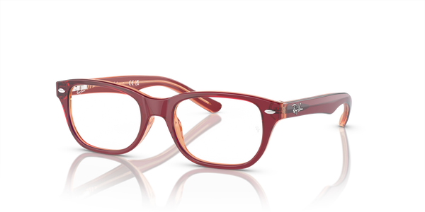 Ray-Ban RY1555 3947