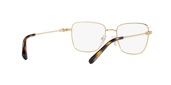 Swarovski Eyeglasses SK1003 PALE GOLD