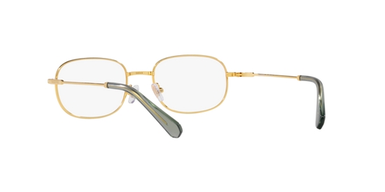 Swarovski Eyeglasses SK1005 GOLD