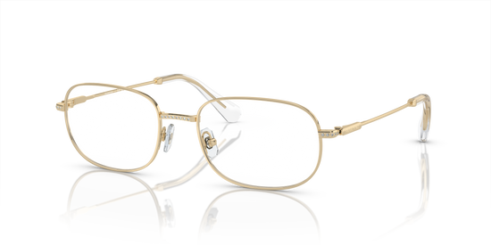 Swarovski Eyeglasses SK1005 PALE GOLD