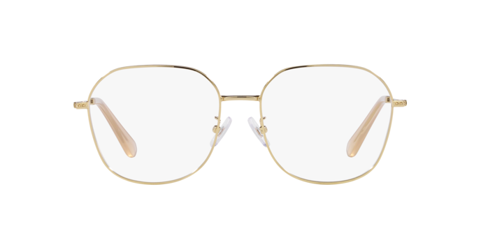 Swarovski Eyeglasses SK1009D PALE GOLD