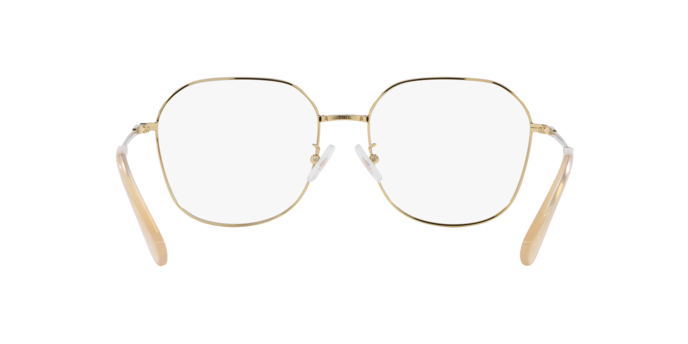 Swarovski Eyeglasses SK1009D PALE GOLD