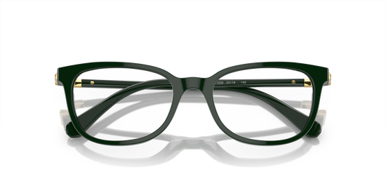 Swarovski Eyeglasses SK2003 EMERALD