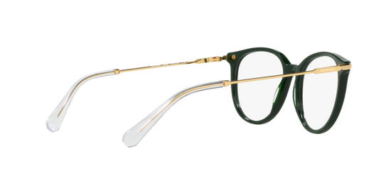 Swarovski Eyeglasses SK2009 GREEN