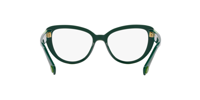 Swarovski Eyeglasses SK2014 GREEN