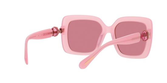 Swarovski Sunglasses SK6001 20019L