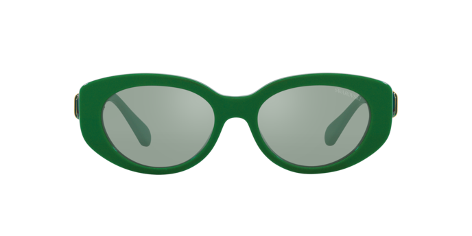 Swarovski Sunglasses SK6002 10079C