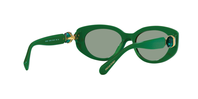 Swarovski Sunglasses SK6002 10079C