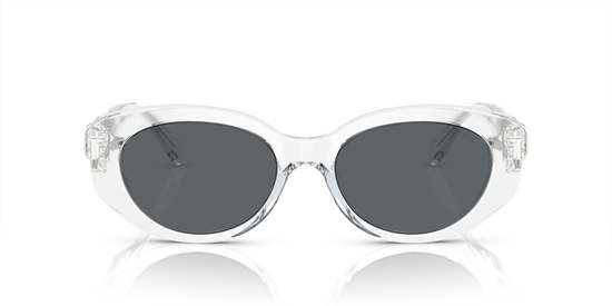Swarovski Sunglasses SK6002 102787