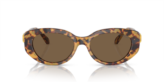 Swarovski Sunglasses SK6002 104073