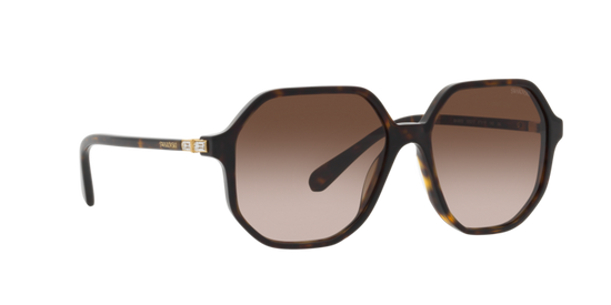 Swarovski Sunglasses SK6003 100213