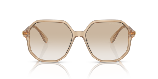 Swarovski Sunglasses SK6003 103411