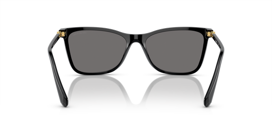 Swarovski Sunglasses SK6004 100181