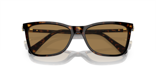 Swarovski Sunglasses SK6004 1002M4