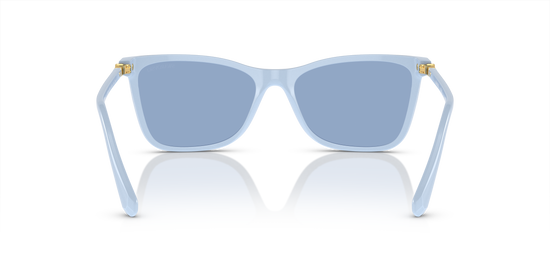 Swarovski Sunglasses SK6004 10061U
